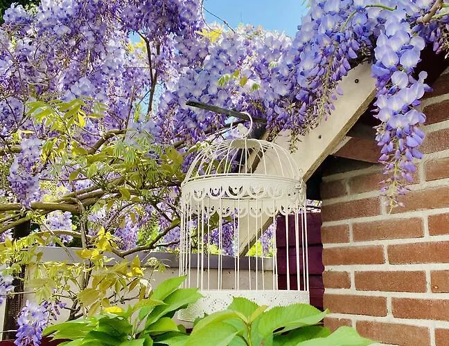 Дом отдыха Light And Spacious Getaway House *