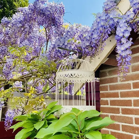 Semesterbostad Light And Spacious Getaway House *